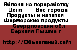 Яблоки на переработку › Цена ­ 7 - Все города Продукты и напитки » Фермерские продукты   . Свердловская обл.,Верхняя Пышма г.